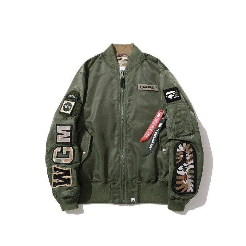 Gemini- item:C-FL05E0855
