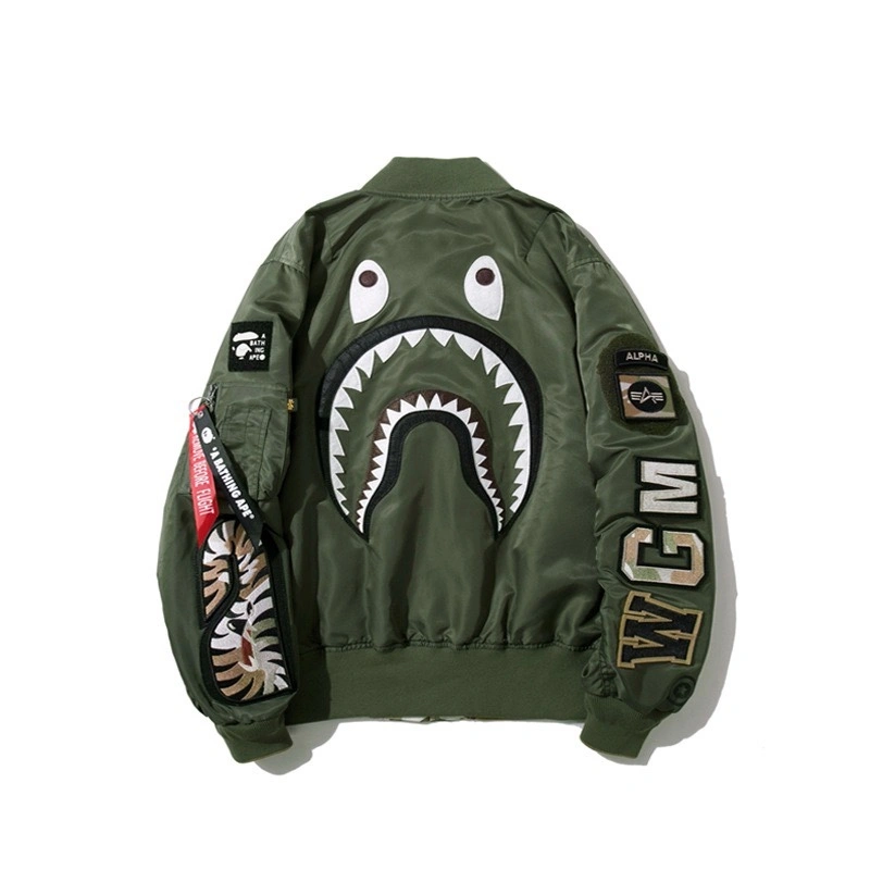 Gemini- item:C-FL05E0855