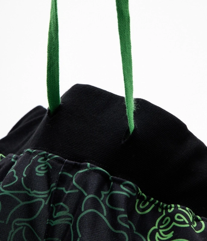 &Gemini- item:C-FL05G1706