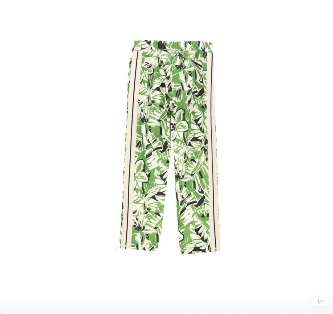Gemini- item:C-FL10H1339