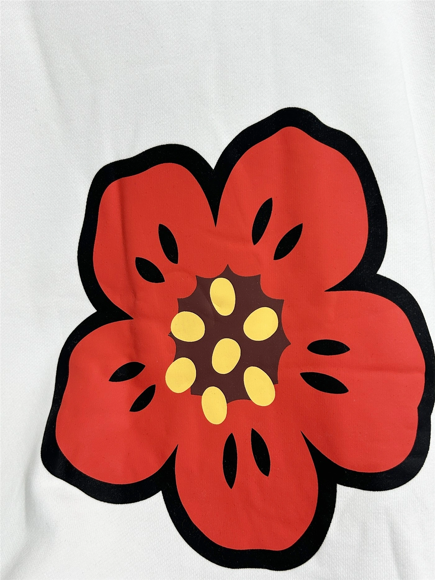 Gemini- item:D-F000D0249