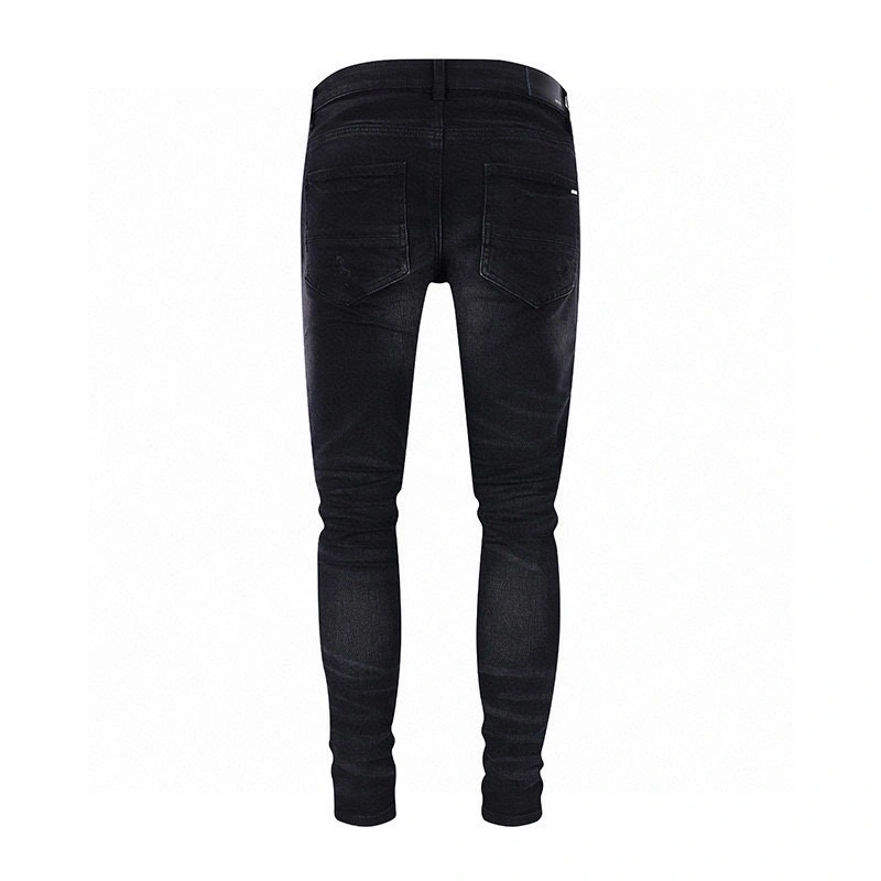 Gemini- item:D-F476D0313