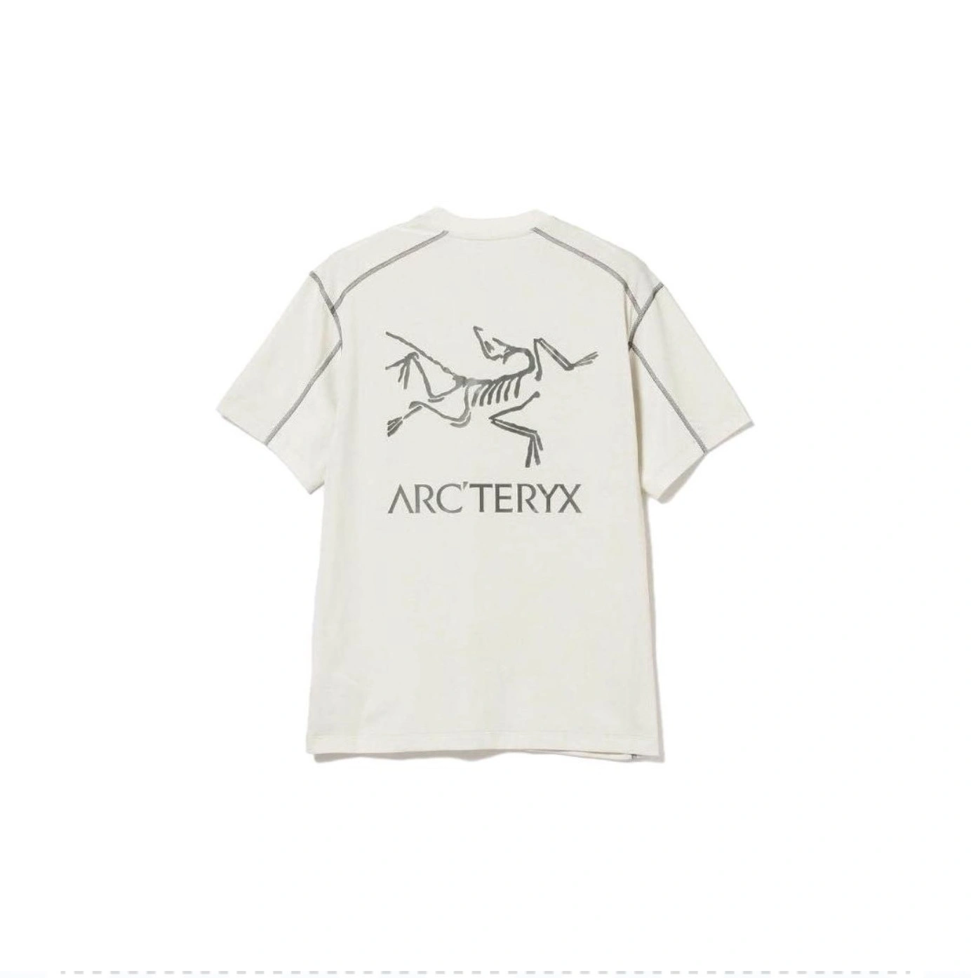 Gemini- logo item:C-F073E0212