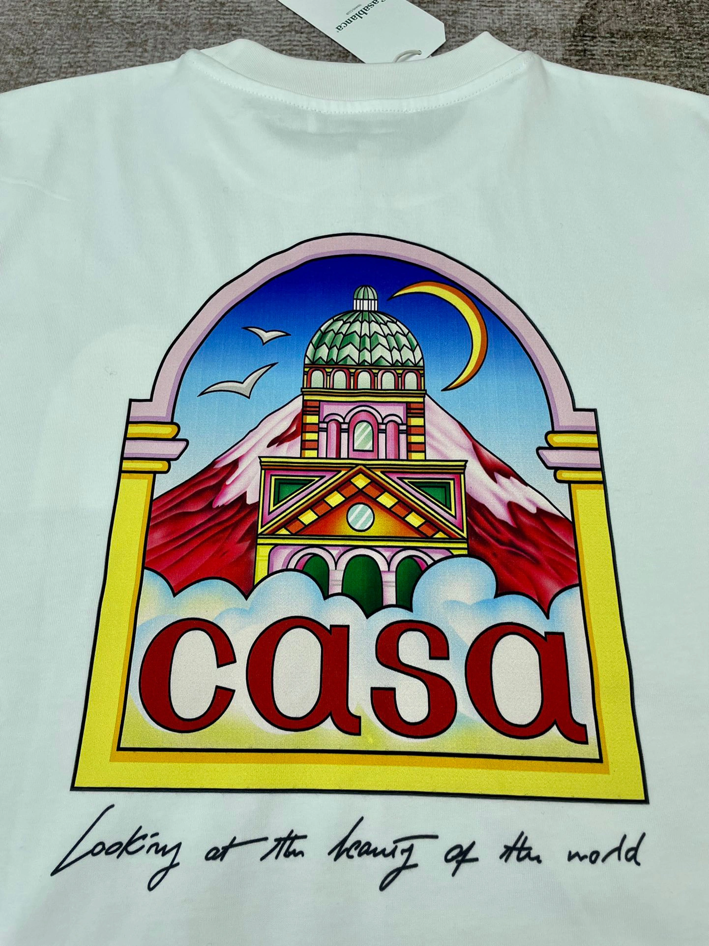 &&Gemini- oversized item:C-F567J1481