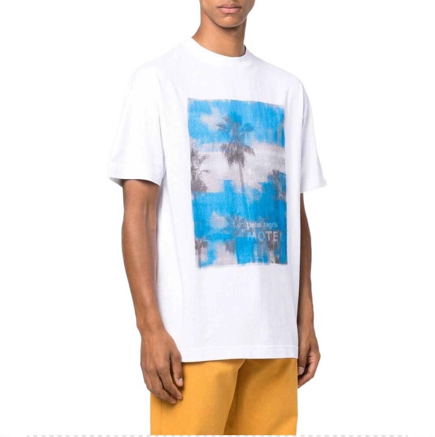 Gemini- oversized item:C-FL10H20007