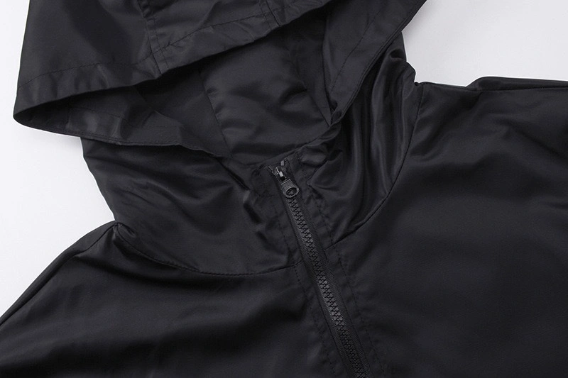 Gemini- oversized item:C-FL31H3007
