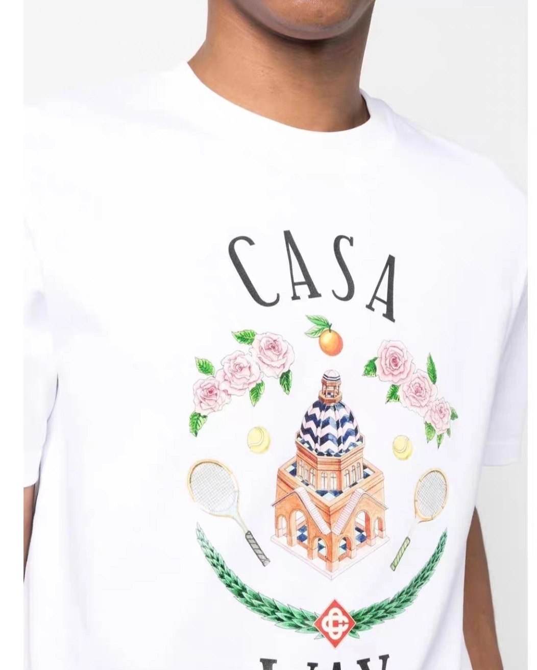 &&Gemini 23 logo 2Colour item:C-F324I1452-2