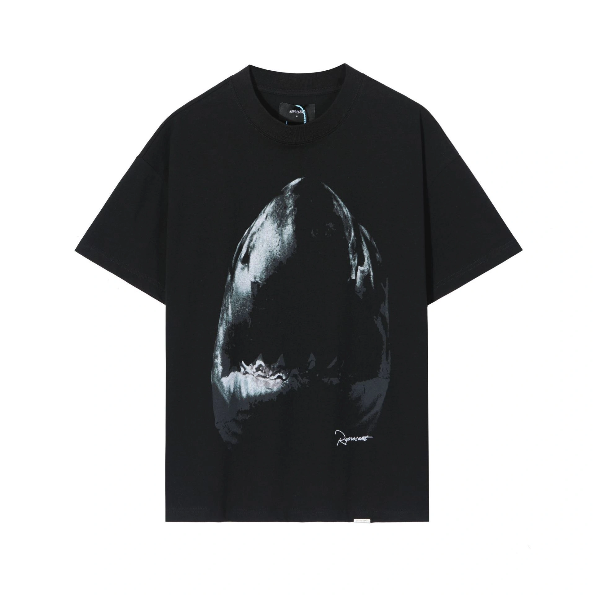 Gemini-R5pr5s59t R oversized item:E-FL000A2698F