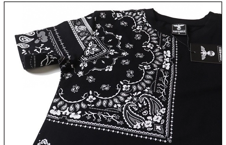 &Gemini item:C-F000H0608