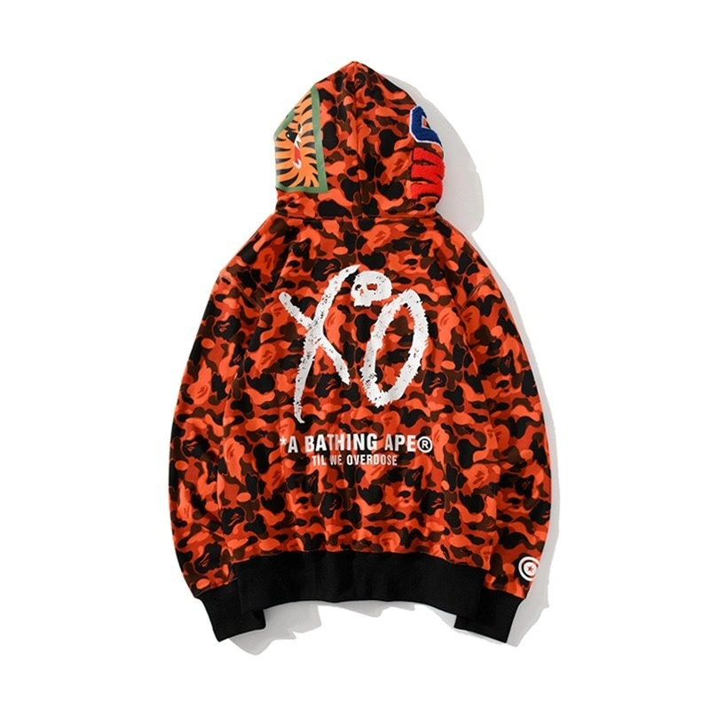 Gemini-item:C-FL05E0808
