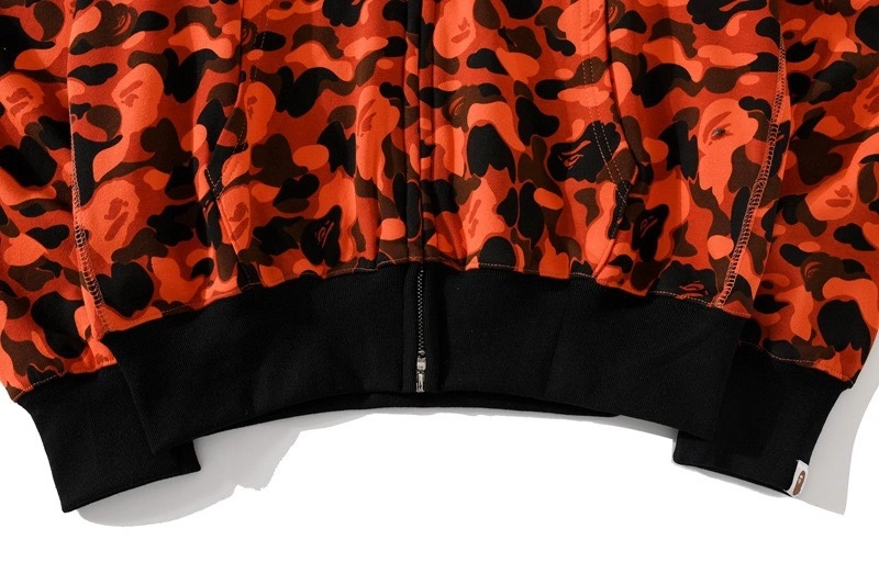 Gemini-item:C-FL05E0808