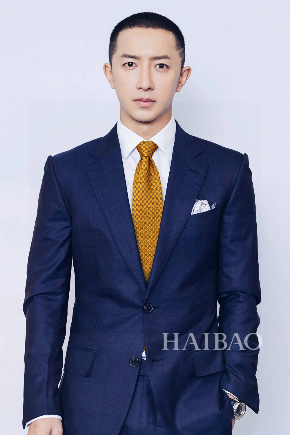 HD-- 100% top twill silk + wool lining item:C-S132C24105Y