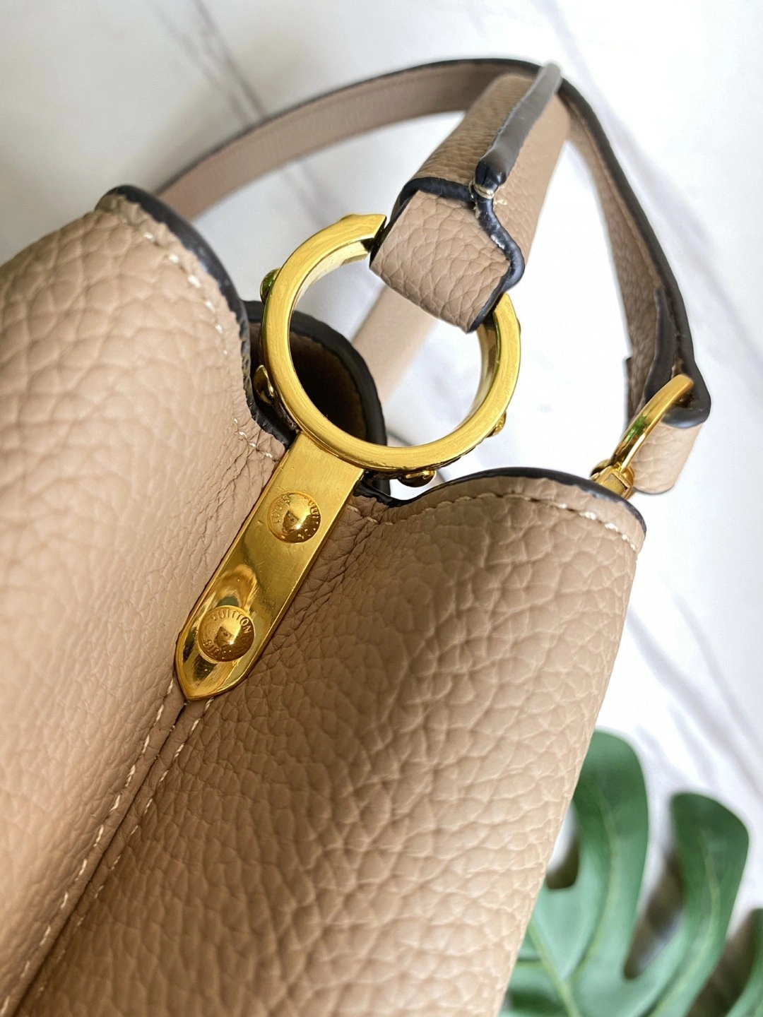 M42253 CAPUCINES item : AT-B225L0334L