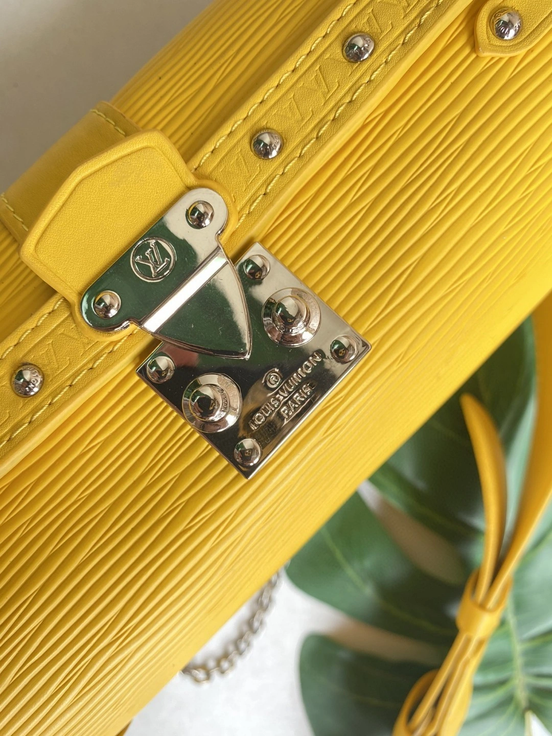 M58647 Papillon BB item : AT-B225L0421L