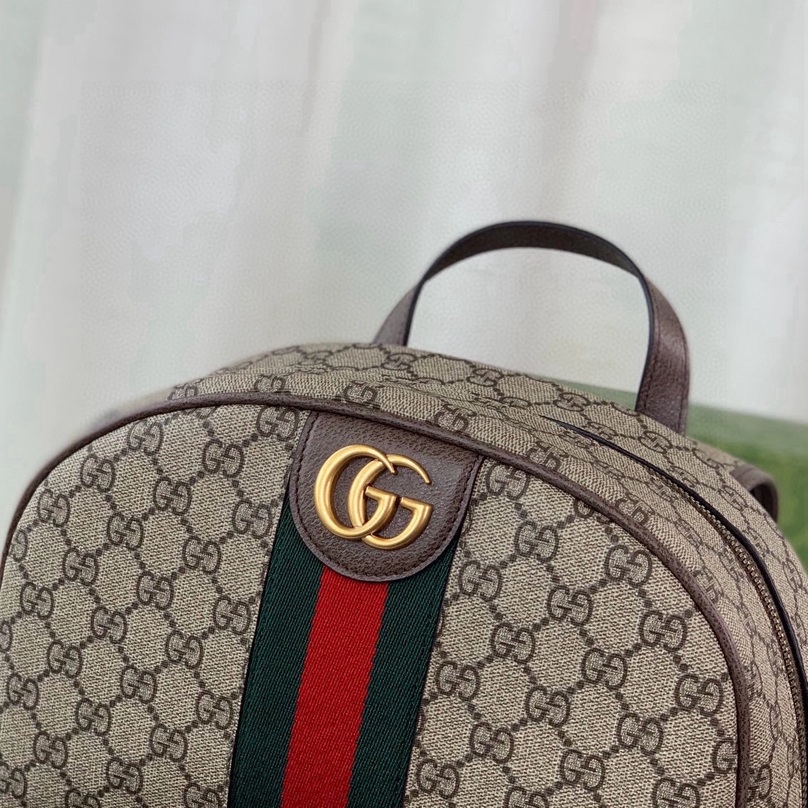 MOMO-- 6u33i 779901 FABYY 9744 779901-FABYY-9744 Ophidia item:D-B183G2626