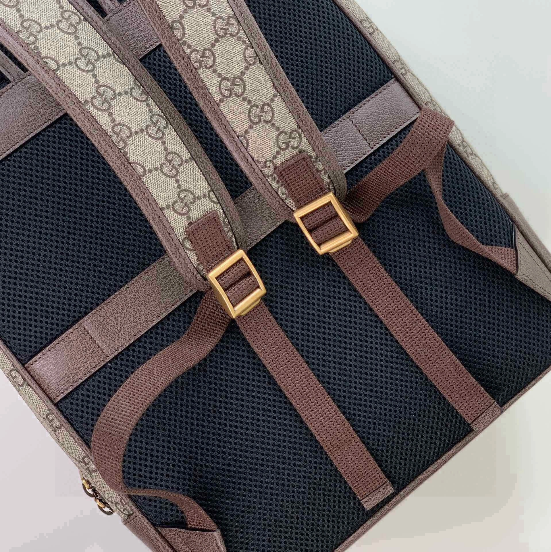 MOMO-- 6u33i 779901 FABYY 9744 779901-FABYY-9744 Ophidia item:D-B183G2626