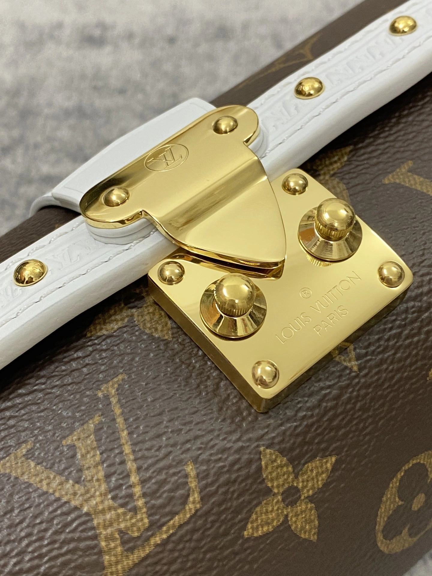 MOMO-- M81485 item：C-B808E3115R