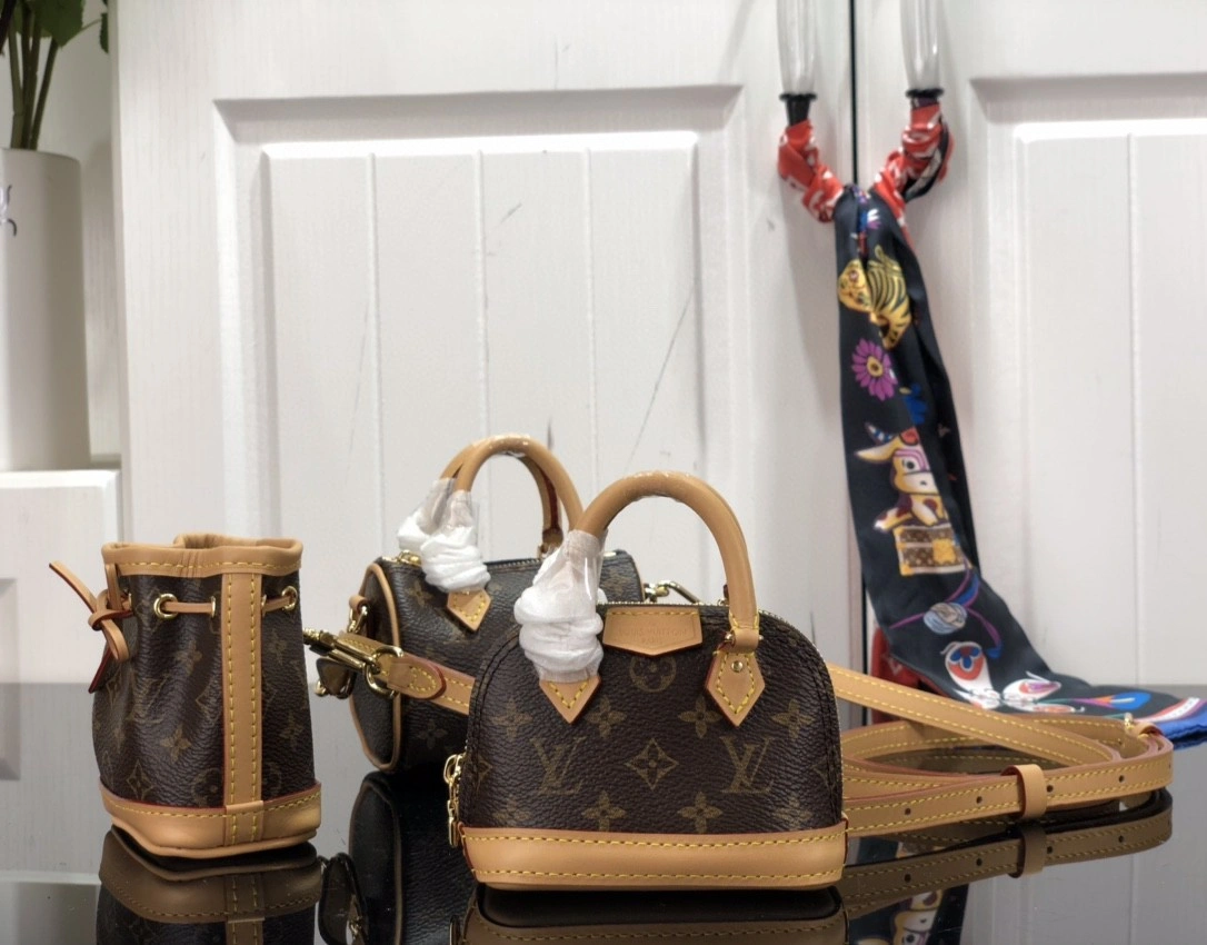 MOMO- M81081 NOÉ, ALMA SPEEDY item : B-B063D1004