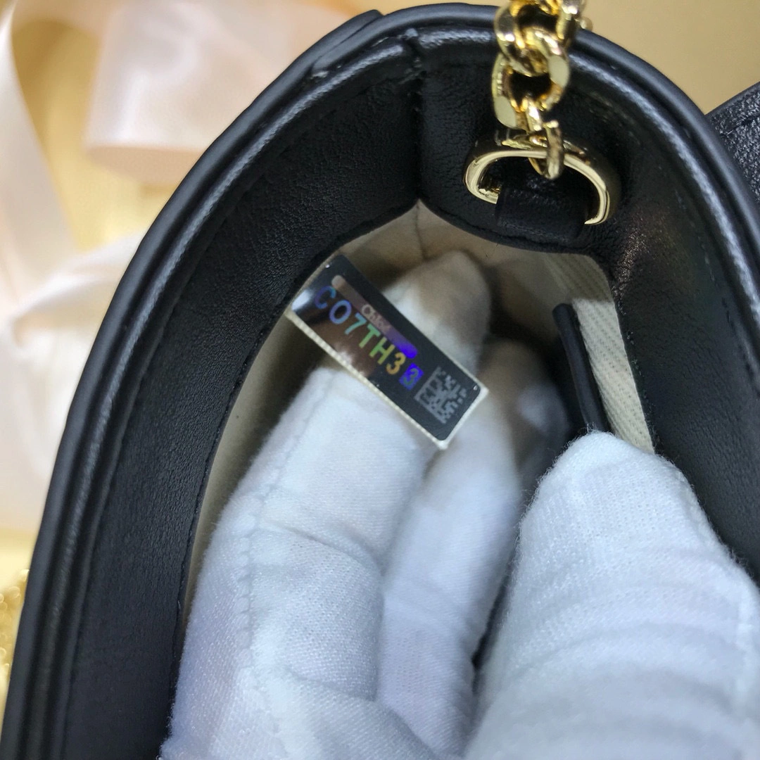 S1220 Aby lock bag item:B-B075B1120