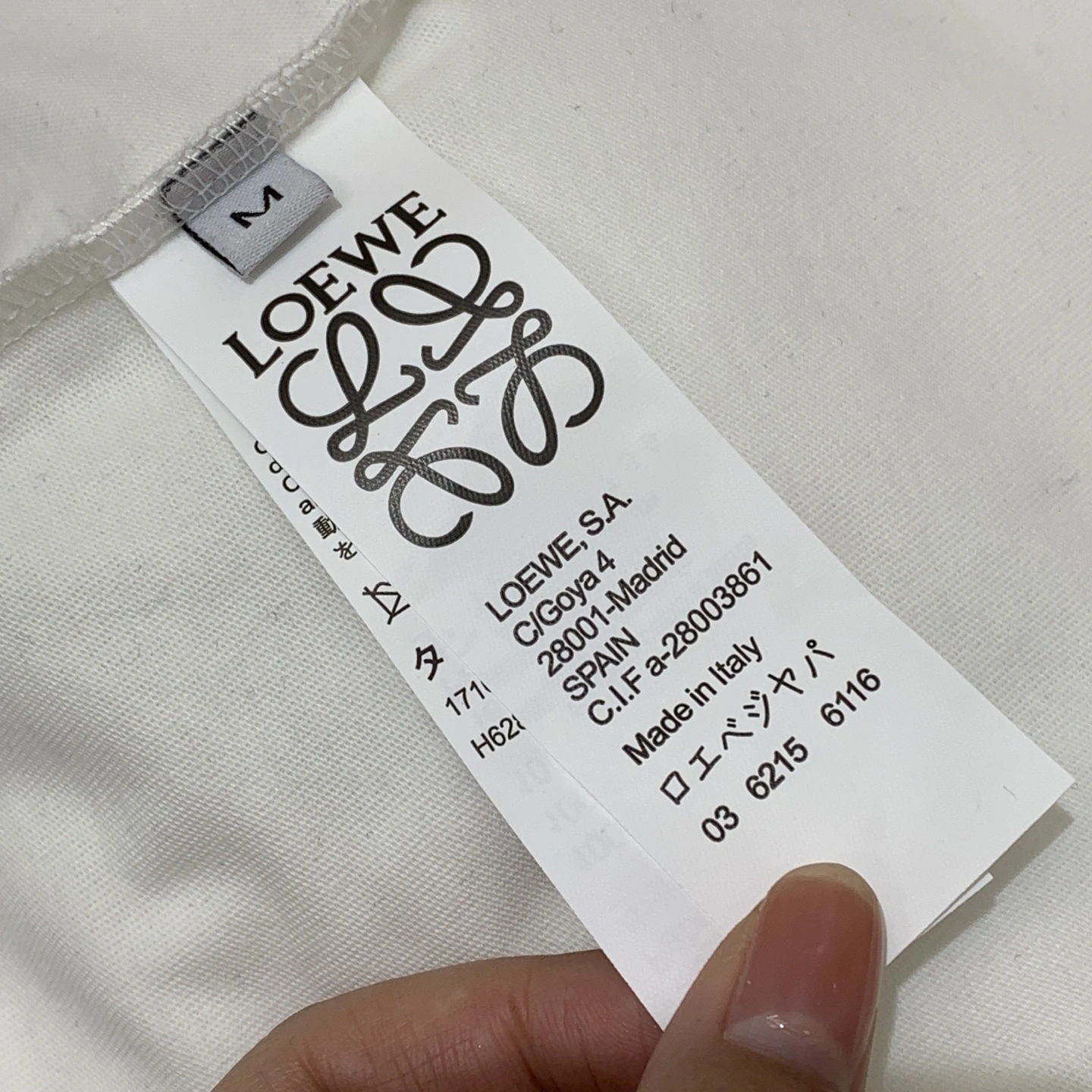 Victoria-- 8o5w5 Cotton embroidery 2colour item:E-F044L2722-2H