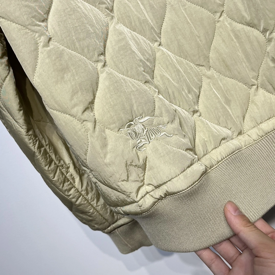 WGLuxury-- 2ur25rry Embroidery Nylon 2Colour item:D-F443J2309-2