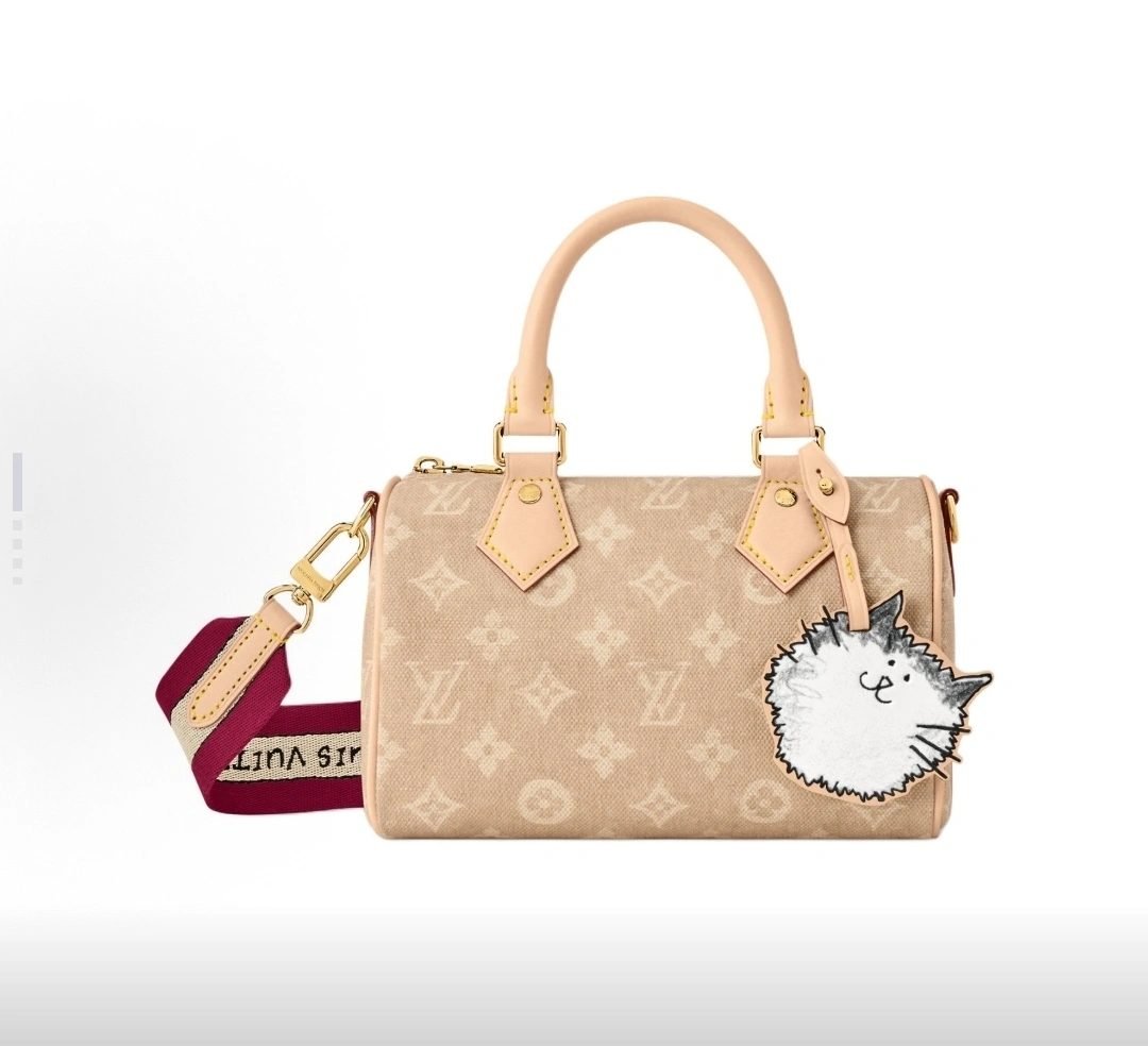 MOMO-- 8V M15151 high quality version Speedy 20 Bandoulière Travels With Grace Coddington item:E-B000J1839