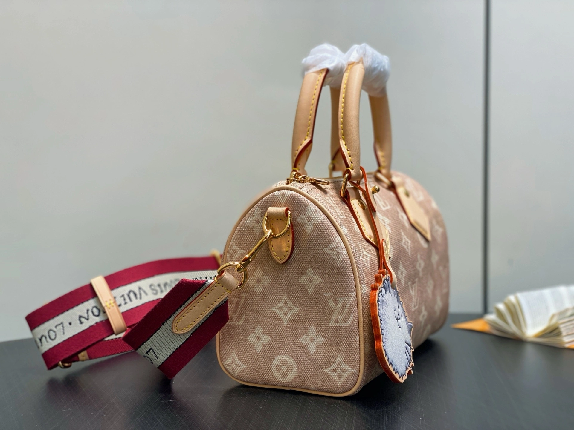 MOMO-- 8V M15151 high quality version Speedy 20 Bandoulière Travels With Grace Coddington item:E-B000J1839