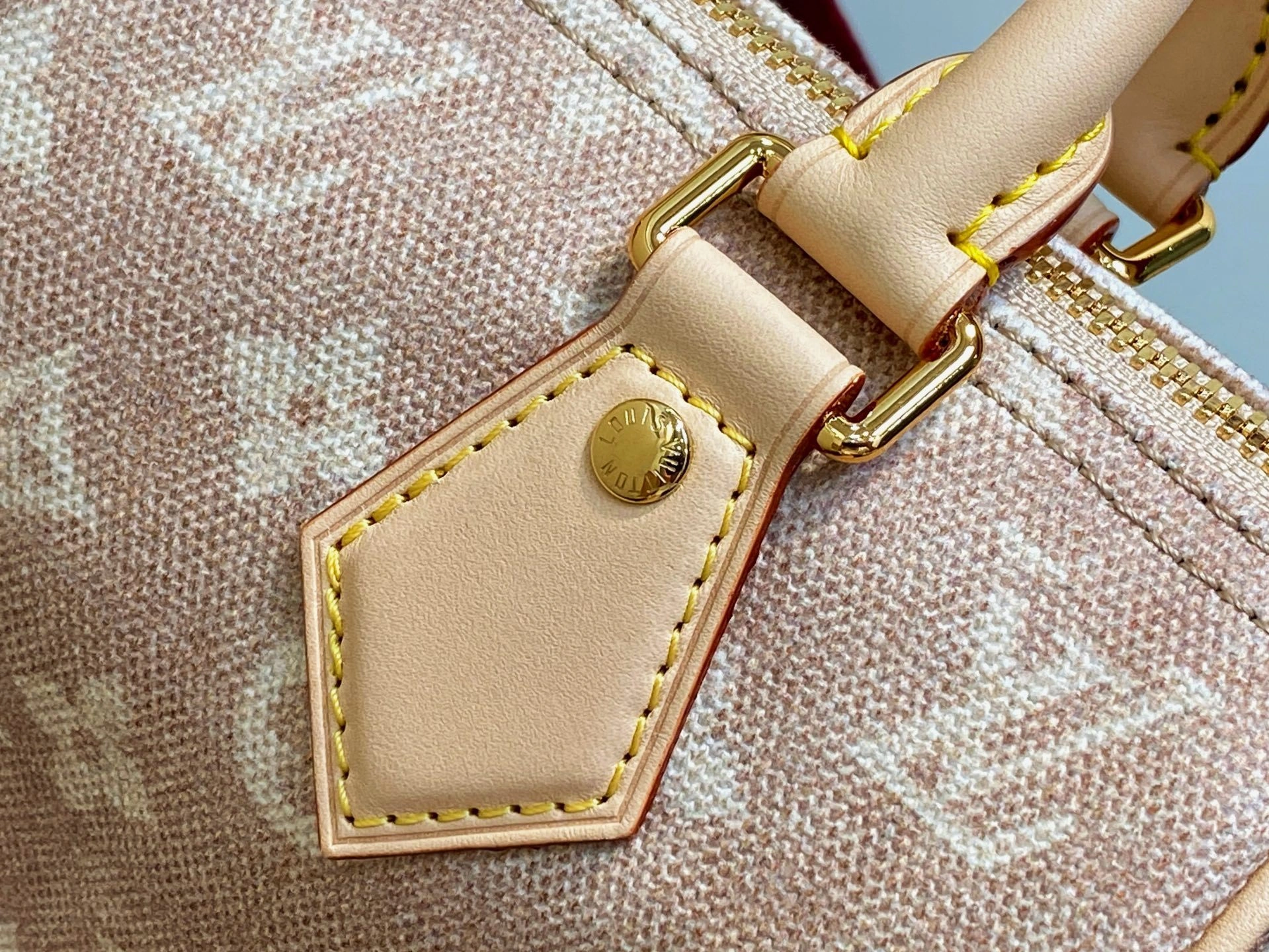 MOMO-- 8V M15151 high quality version Speedy 20 Bandoulière Travels With Grace Coddington item:E-B000J1839