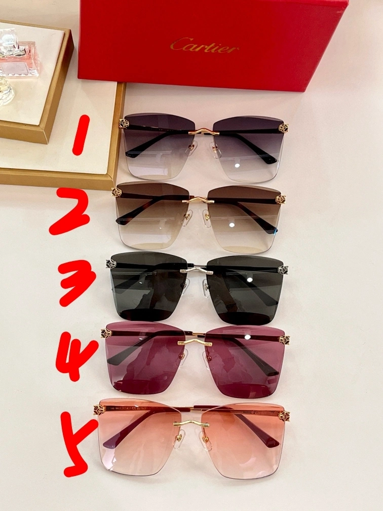 barbara- 5Colour item:D-S132D0218-5