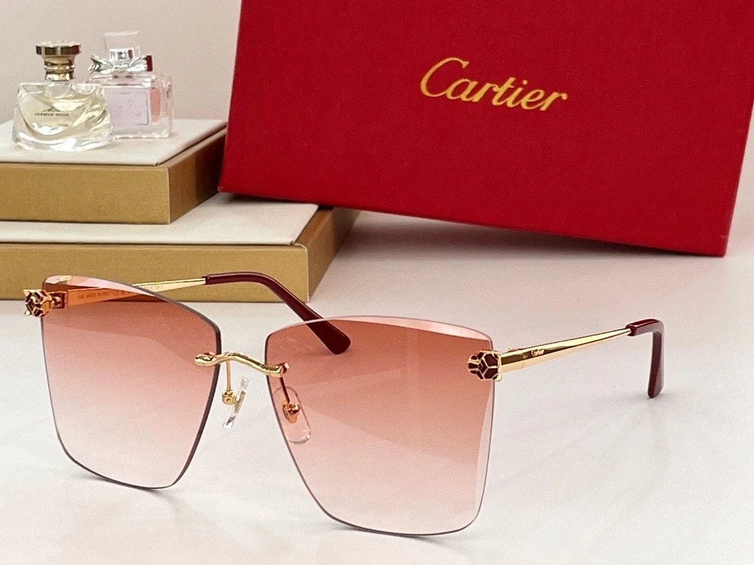 barbara- 5Colour item:D-S132D0218-5