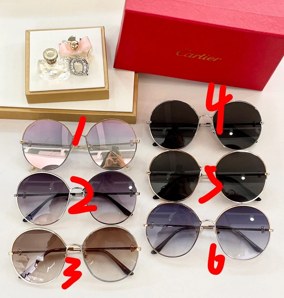 barbara- 6Colour item:D-S132D0226-6