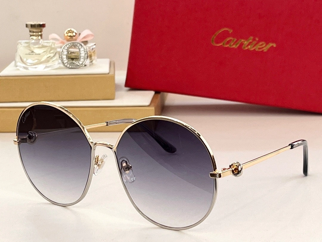 barbara- 6Colour item:D-S132D0226-6