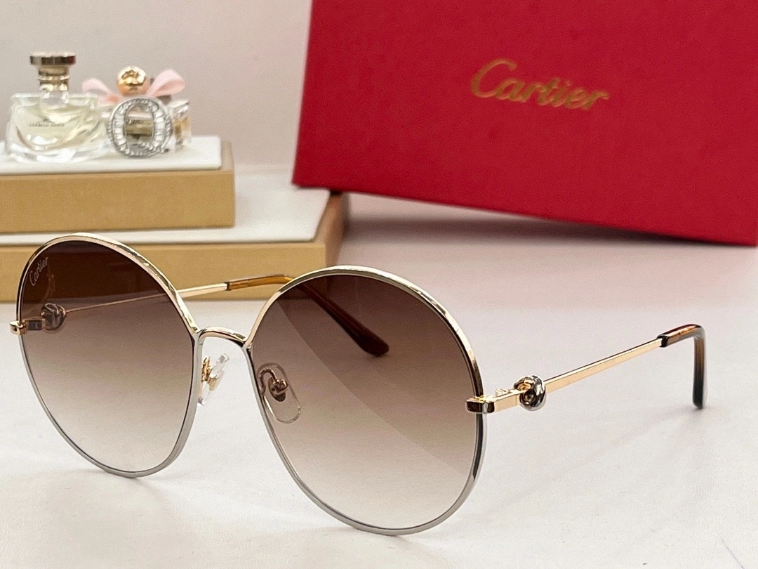 barbara- 6Colour item:D-S132D0226-6