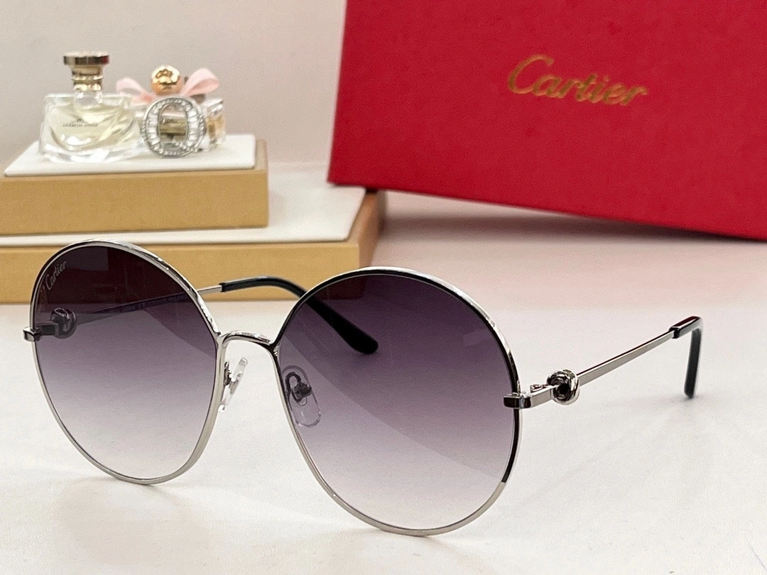 barbara- 6Colour item:D-S132D0226-6