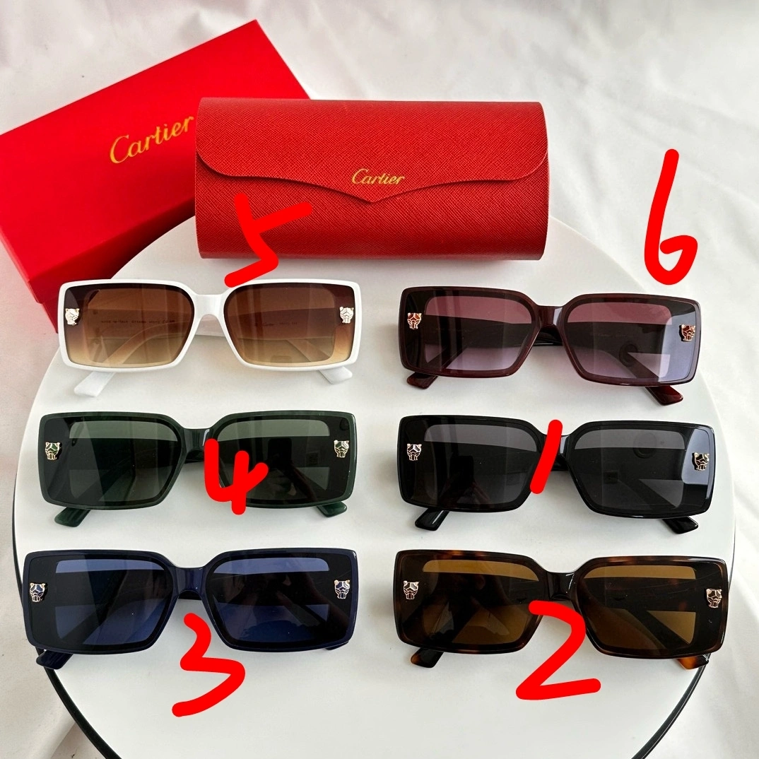 &barbara- 6Colour item:D-S132D0241-6