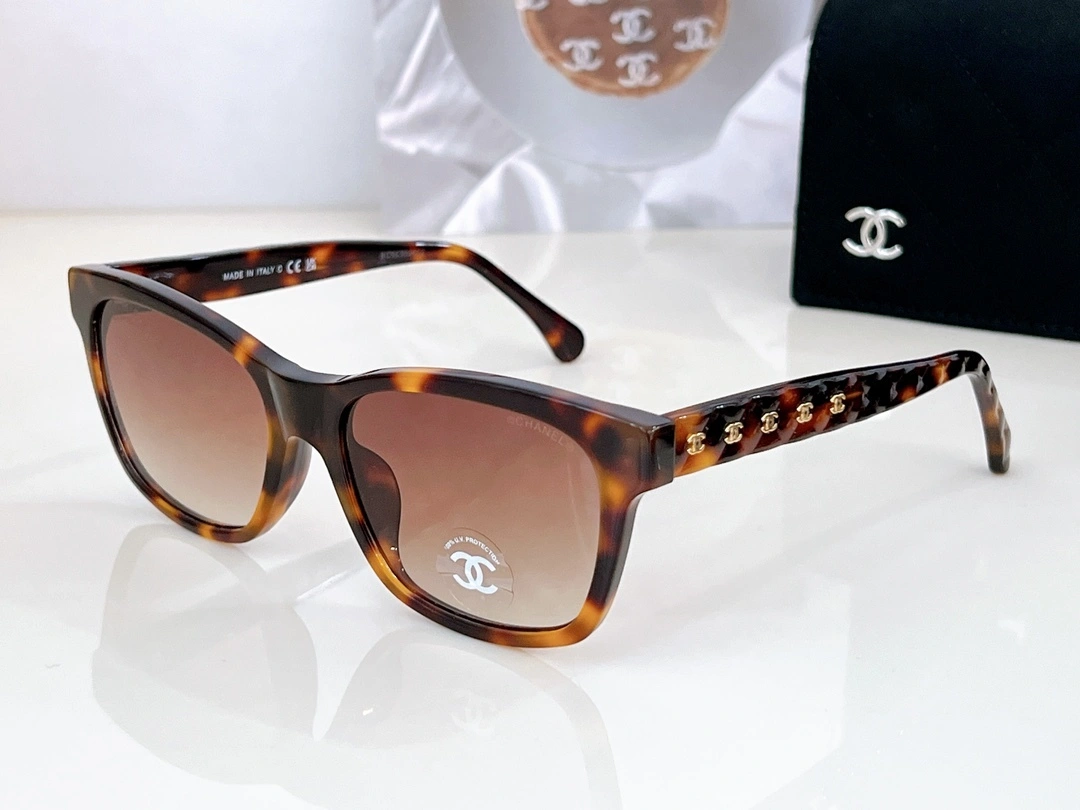 barbara- 6Colour item:D-S132D0416-6