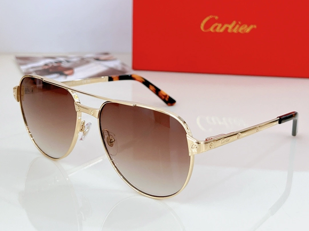 &&barbara- 7Colour item:D-S132D0207-7