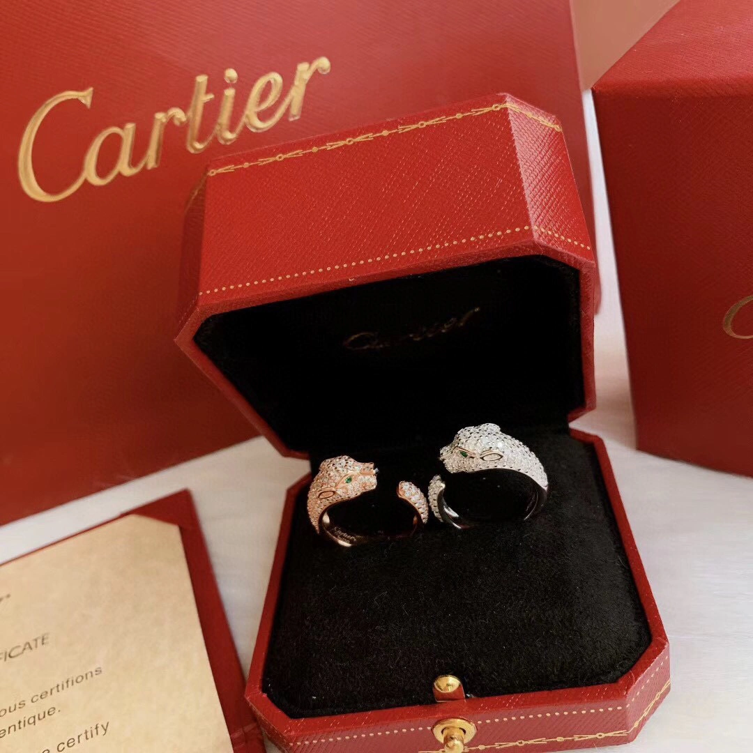 &barbara-Cartier N4765651 2colour item:B-S092C1480-2
