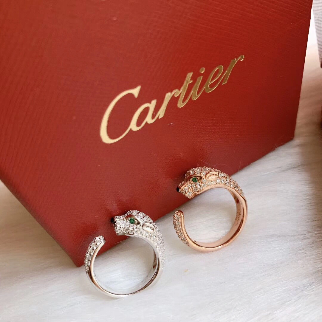 &barbara-Cartier N4765651 2colour item:B-S092C1480-2
