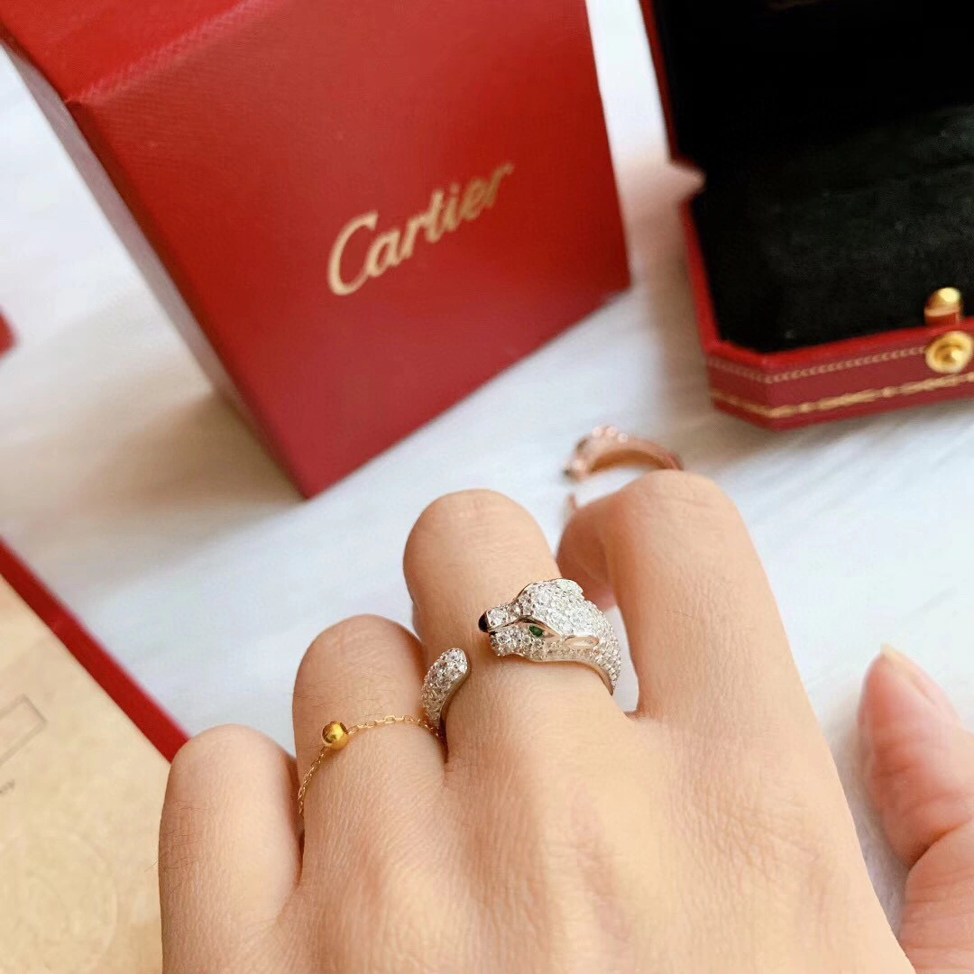 &barbara-Cartier N4765651 2colour item:B-S092C1480-2