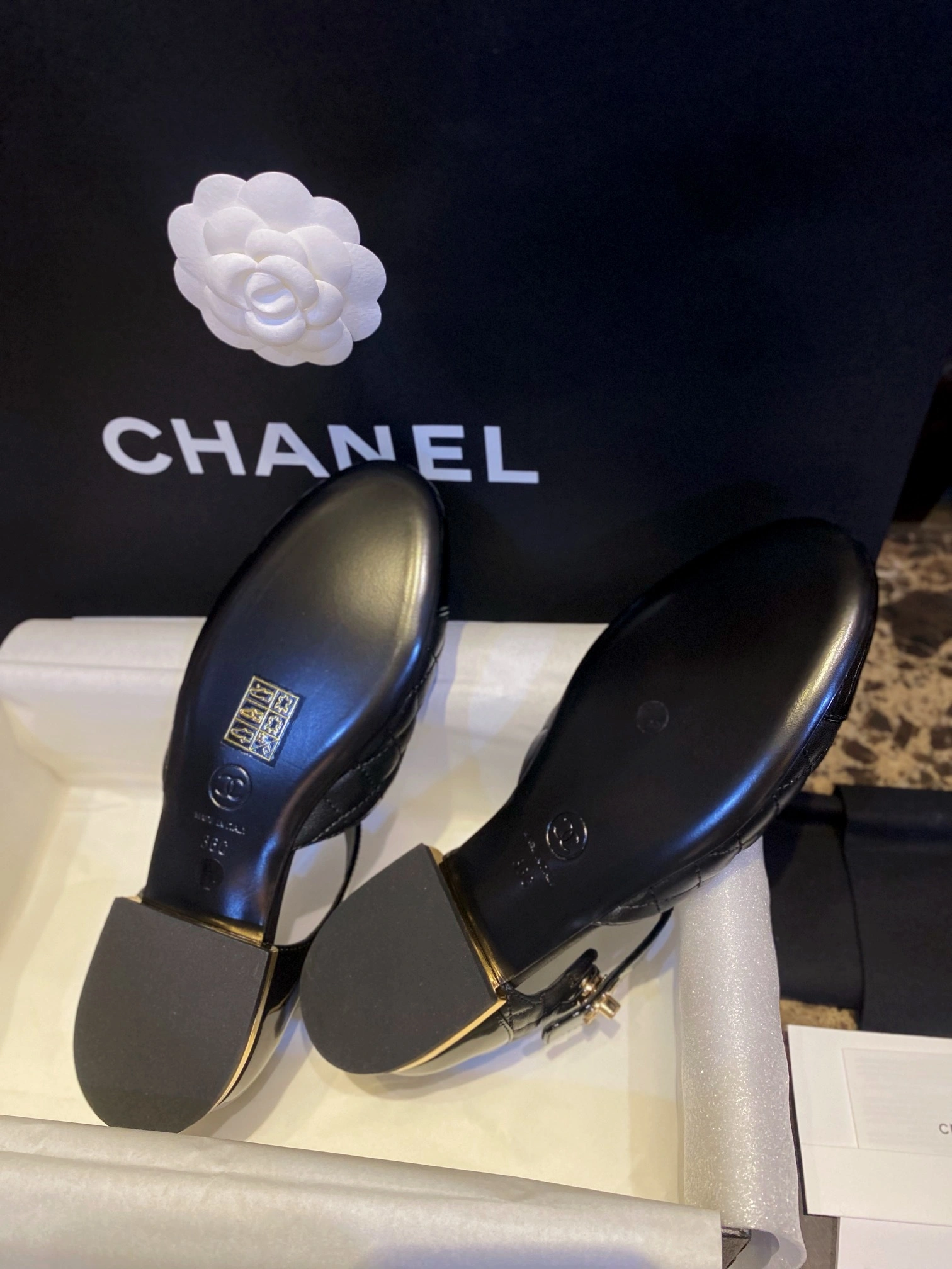 coco-- G38441 Y55573 94305 item:C-X802H2519Y