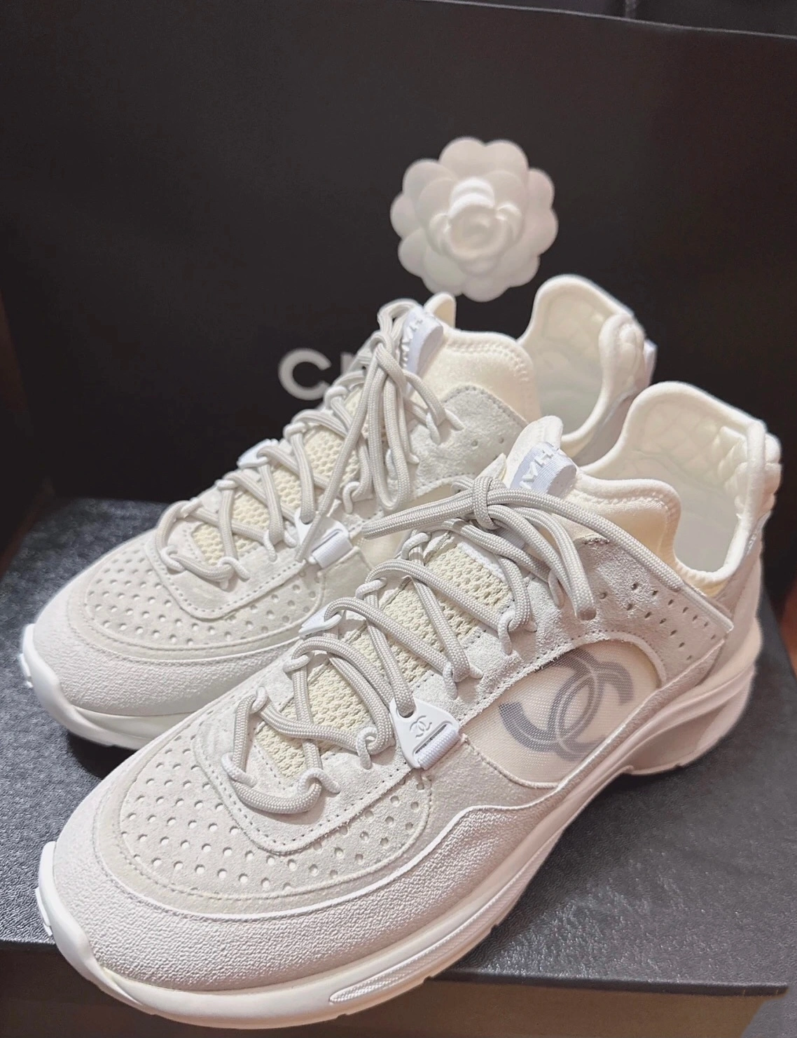 coco-- G40193 Y56624 0T600 item:C-X002I2379Y
