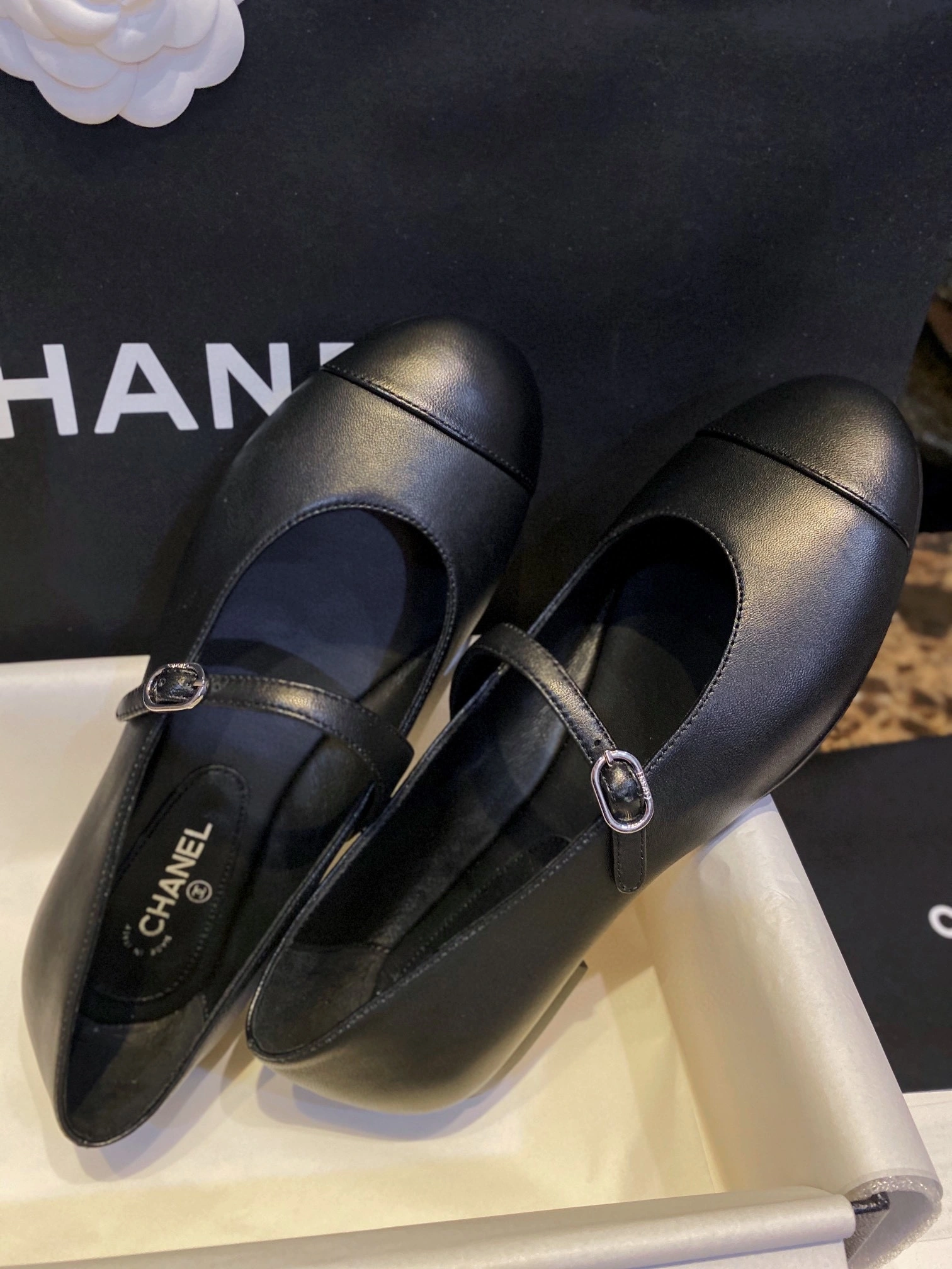 coco-- item:C-X802H2516Y