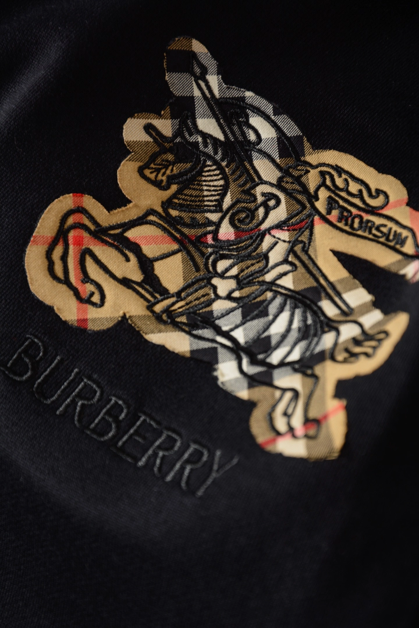 Bald Eagle-- 2ur25rry 25SS suit Cotton embroidery fleece oversized item:E-F020L0518H
