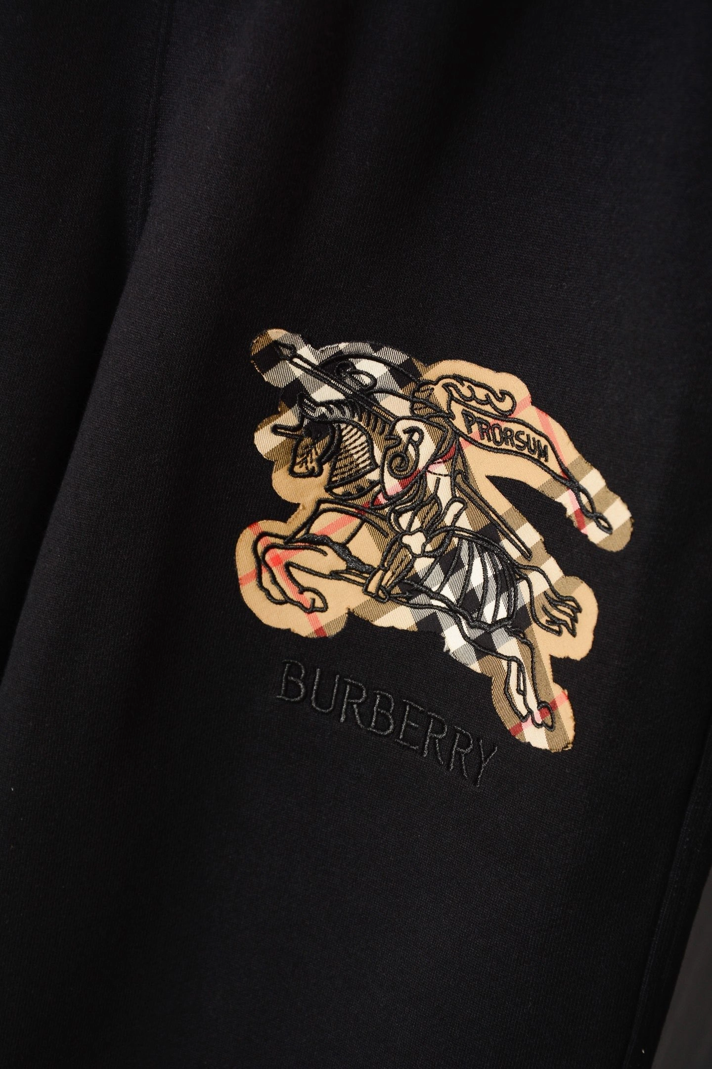 Bald Eagle-- 2ur25rry 25SS suit Cotton embroidery fleece oversized item:E-F020L0518H