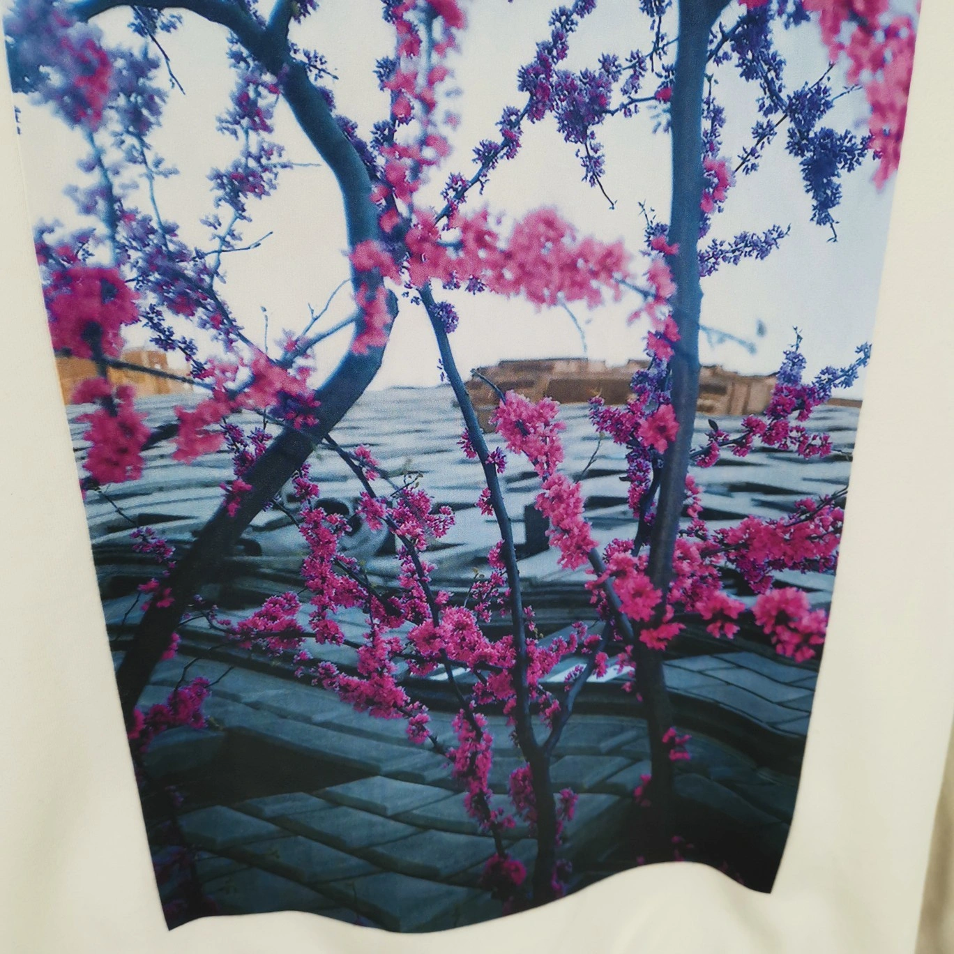 oversized item:C-F477D2414