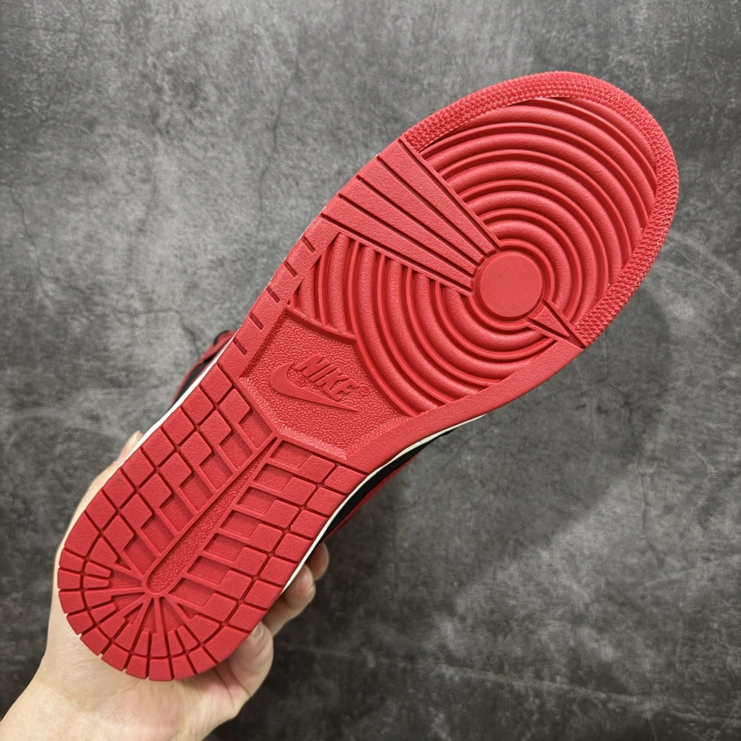 Flying pig-- 1ir Jor419 HV6674-067 1ir Jor419 1 High '85“Bred” 2025 item: E-X067L2070B