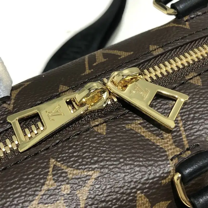 LV Bags 2010B570033