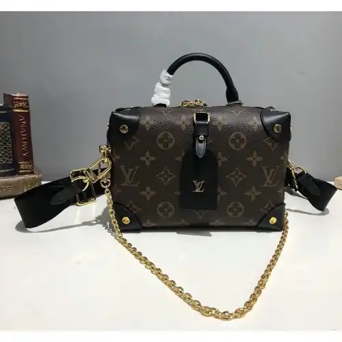 LV Bags 2010B570033