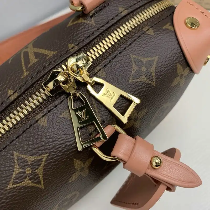 LV Bags 2010B570034